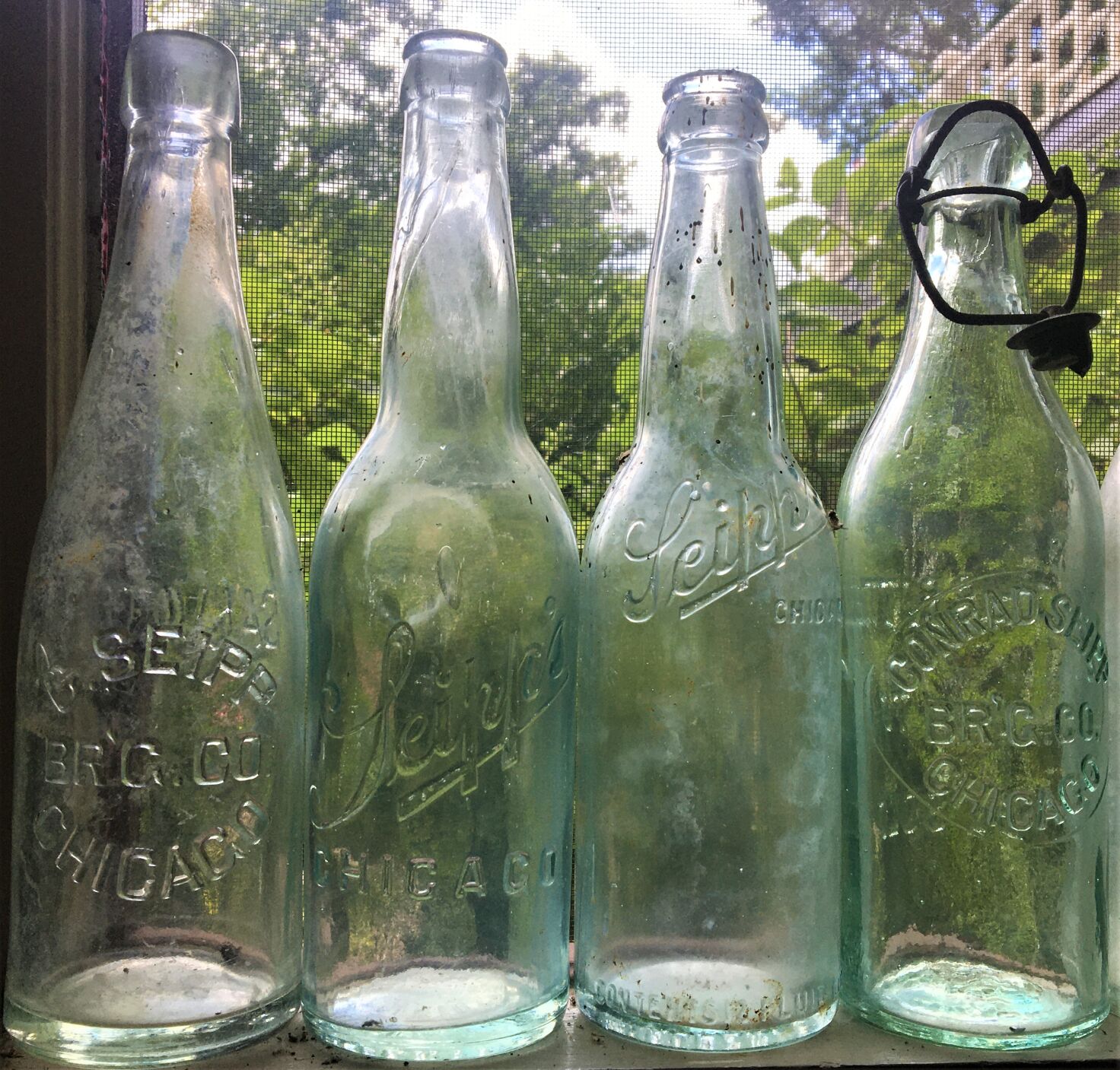 Black Point: Seipp Beer Bottles 3